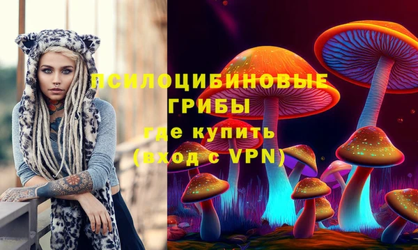 бошки Армянск